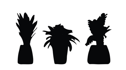 Collection silhouettes of houseplants in black color.