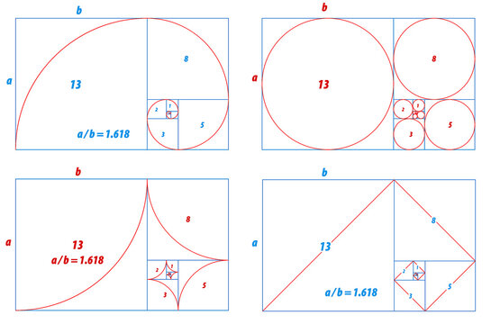 fibonacci ratio divine proportion isolated - 3d Illustration