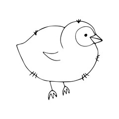 Chicken in doodle style on an isolated background.