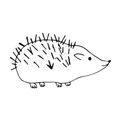 Hedgehog in doodle style on an isolated white background.