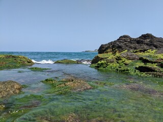 Fototapeta na wymiar coast of the region sea, with kelp, deep blue sea in the background in veracruz, roca partida park, and cliffs