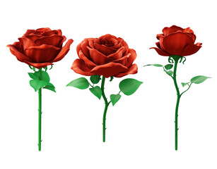 3d rendering of a rose flower in shiny clean red color from various perspective view