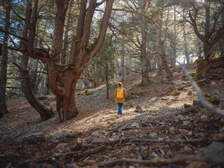 caucasian woman enjoys being in nature, beautiful forest in mountains. embracing fresh air and engaging in outdoor activities. Friluftsliv concept means spending as much time outdoors as possible