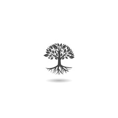 Tree and Root Of The Tree logo icon with shadow