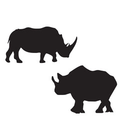 rhino isolated on white