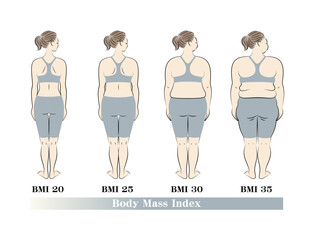 若い美人女性の後ろ姿 BMI(ボディマスインデックス) 指数別の体型の一覧 イラスト ベクター