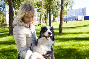 Naklejka na ściany i meble Owner plays with a siberian laika dog in autumn park. Friendship of a dog and a woman