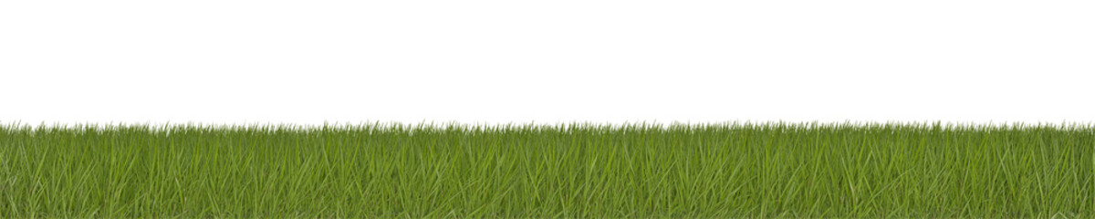 Fototapeta na wymiar Green Grass isolated on PNG Transparent background.