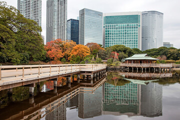 Fototapeta premium 浜離宮恩賜庭園,お伝い橋,中島の御茶屋,紅葉