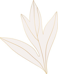 Botanical leaf gold line art