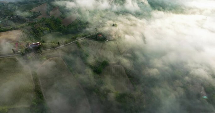 Flying Through Foggy Clouds Over Farm Vineyards At San Gimignano, Province of Siena, Italy. Aerial Drone Shot
