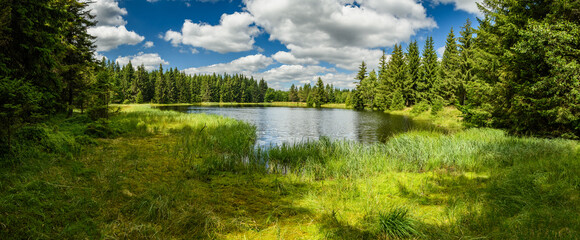 Mountain lake in the forest panorama