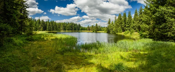Fotobehang Mountain lake in the forest panorama © Petr