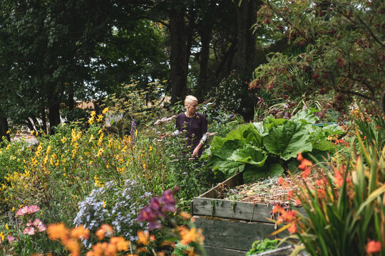 girl works in beautiful colourful english garden in summer