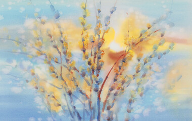 Pussy willow twigs in a blue and yellow watercolor background - 570191127