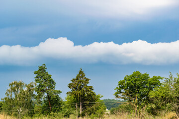 Obraz premium Beautiful horizon scenery in village meadow on color natural background
