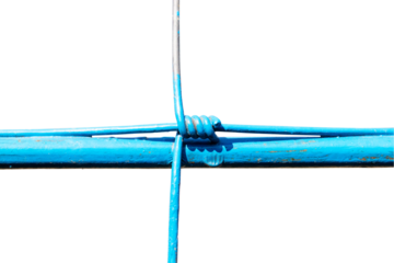 Steel wire fence from grid with blue polymer coating. Isolated on cutout PNG. Tensile Mesh knotted wire mesh rust-resistant barbed, thick zinc plated. Withstand tensile strength able to receive impact