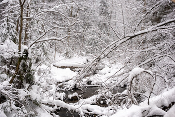 River in the mountains in winter
