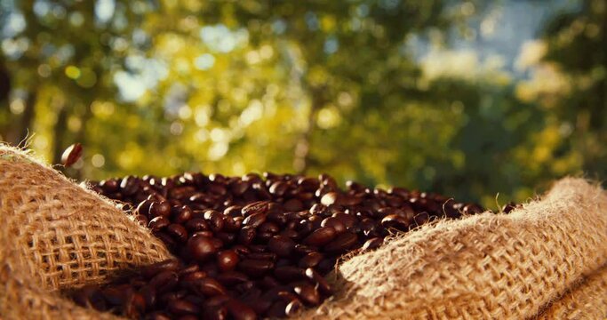 Coffee beans falling in slow motion into bag on farm outdoors