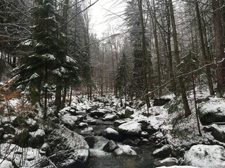 Rzeka w lesie zimą