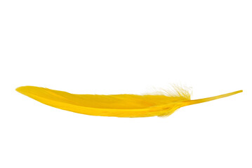 Yellow feather isolated on a transparent background.