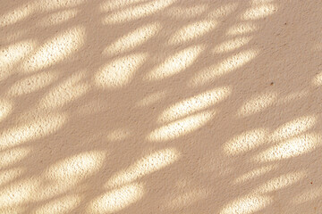 Abstract texture background brown color grunge. sunlight shines as point. Cement wall pattern or wall fence. Concrete from wall of house can be used as model for building, house for website wallpaper.