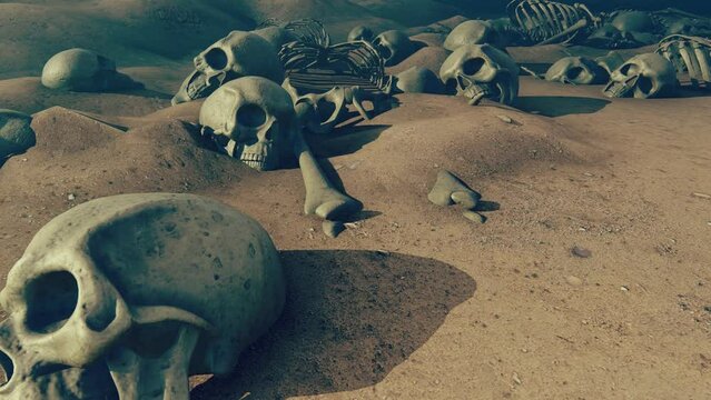 Skeletons on the ground