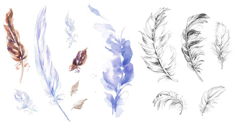 PNG Big set of feathers on transparent background. Watercolor and ink illustration in violet, brown and black colors.