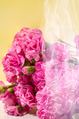 bunch of carnation flowers