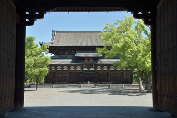 新緑の東寺　南大門から金堂を望む　京都市南区