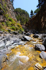 Dos Aguas, Barranco de las Angustias, Barranco del Limonero, Barranco de Rivanceras, Caldera de Taburiente National Park, Biosphere Reserve, ZEPA, LIC, La Palma, Canary Islands, Spain, Europe
