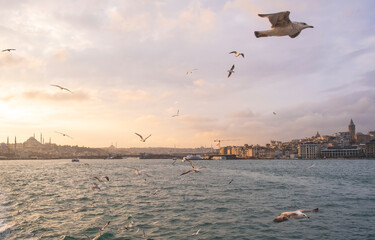 Fototapeta na wymiar Sunset in the Bosphorus and the view of the historical peninsula. Sunset view from the sea in Istanbul. Istanbul silhouette. Hagia Sophia at the background. seagulls fly over the Bosphorus at sunset