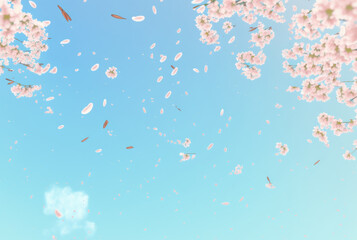 Beautiful cherry blossom or sakura tree branches on blue sky with copy space background in spring season. Illustration graphic design. generative ai.