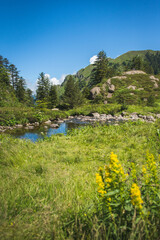 A mountain lake in the Pyrenees