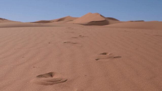 Footprints Left At Fine Sand Dunes In Sahara Desert