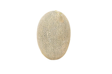 Melon green, brown striped beautiful pattern whole cantaloupe put vertical of japanese. Is becoming popular all over world. isolated on cut out PNG.  Nutritious Contains vitamin A and high vitamin C.