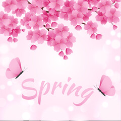 Blooming pink spring sakura, flying butterflies and calligraphic inscription. Vector illustration.