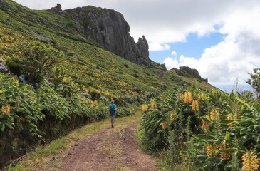 Flores, Azores - the green paradise in the Atlantic Ocean
Pure nature on Flores island, it doesn't...