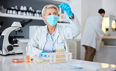 Senior woman, scientist and test tube with pharmaceutical research in a laboratory. University lab, chemistry study and focus of a clinic employee checking chemical results for healthcare innovation
