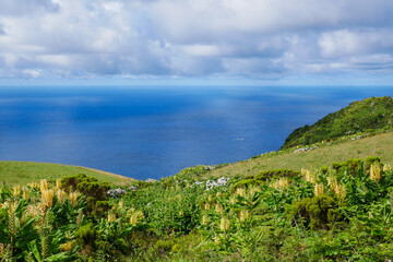 Flores, Azores - the green paradise in the Atlantic Ocean
Pure nature on Flores island, it doesn't...