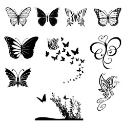 Butterfly svg, Butterfly svg bundle, butterfly logo