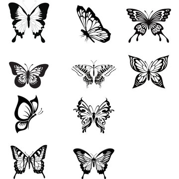 butterfly illustration, butterfly logo 
