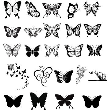 Butterfly svg bundle, design of a butterfly