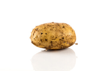 Dirty potato isolated on white background.