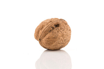 Walnut nut on white