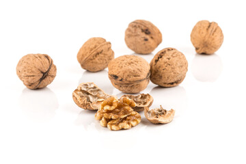 Walnut nut on white