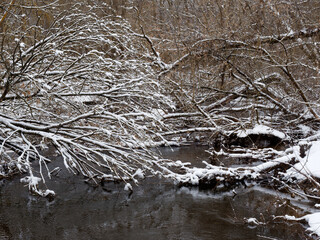 snowy winter flow of water rivers on the banks ice tree branches in the snow