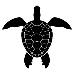 Fototapeta premium Silhouette of a sea turtle