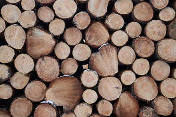 Fototapeta premium pile of wood