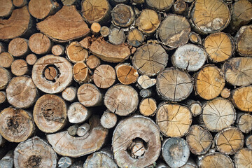 Schnittflächen vieler zu einem Stapel geschichteter Baumstämme als Hintergrund